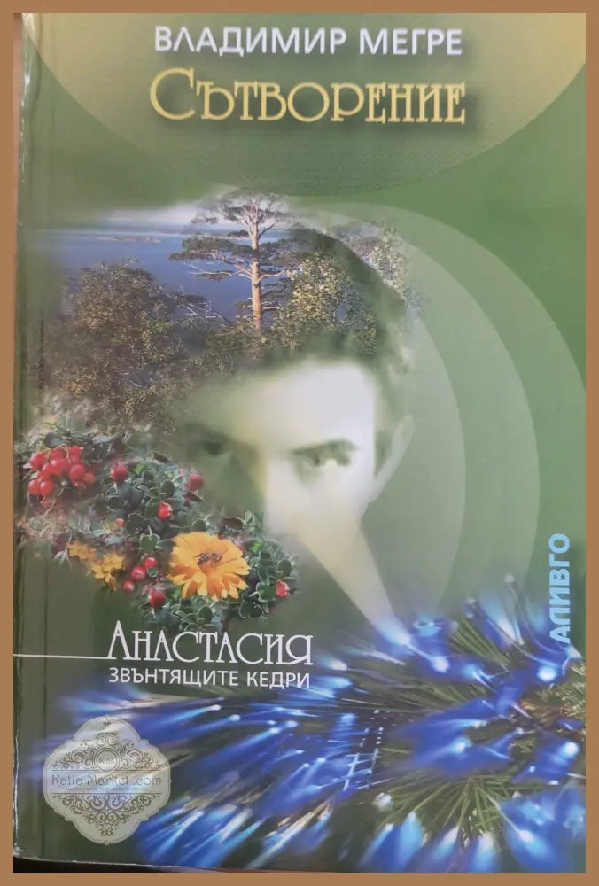 Сътворение - Владимир Мегре - Книги