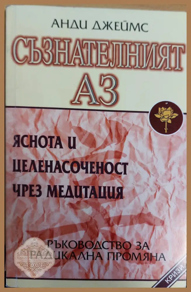 Съзнателният аз - Анди Джеймс - Книги