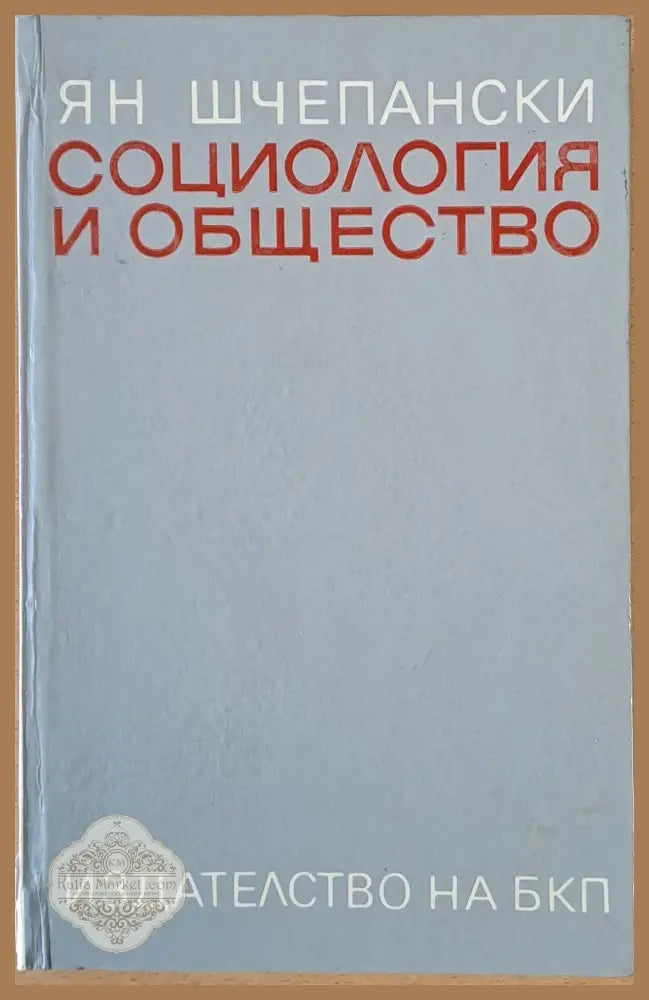 Социология и общество - Ян Шчепански - Книги