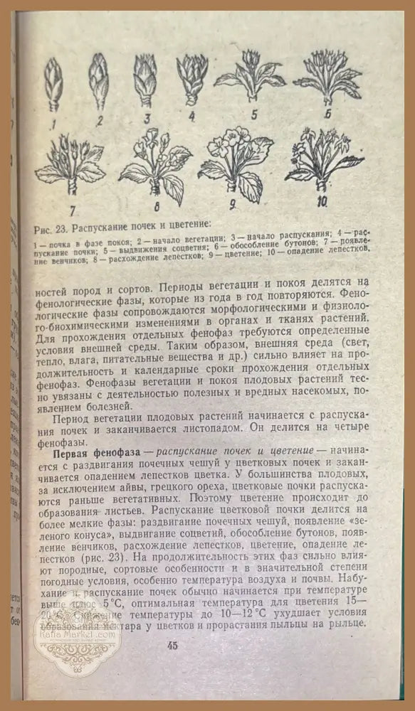 Советы по ведению приусадебного хозяйства - Авторски колектив - Книги