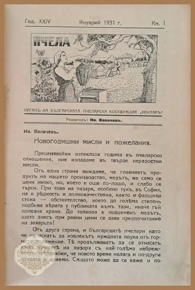 Списание ’Пчела’ година ХХІV-1931 - кн. І - XII. - Книги