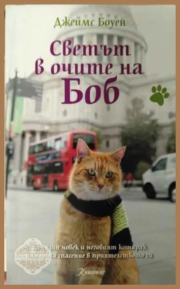 Светът в очите на Боб - корица
