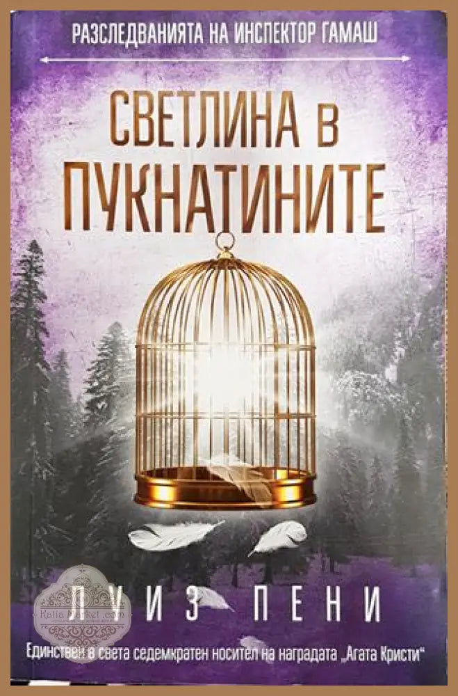 Светлина в пукнатините - Луиз Пени - Книга