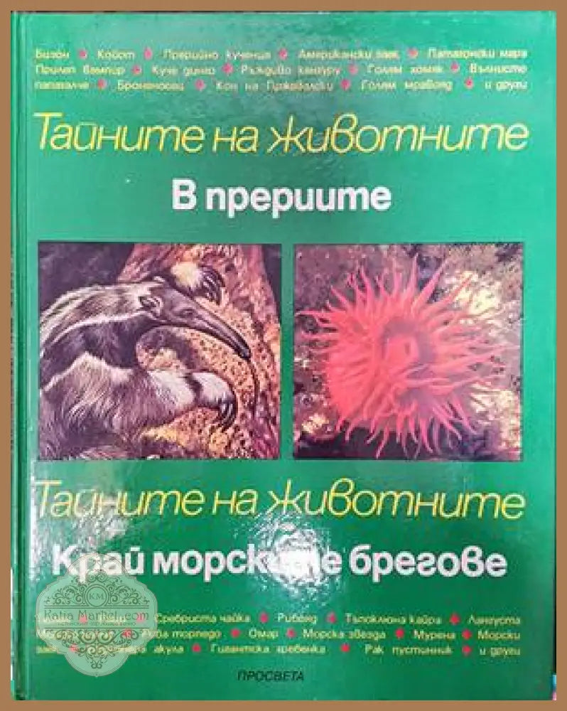 Тайните на животните: В прериите; Край морските брегове - Даниел Алибер-Курагин - Книги