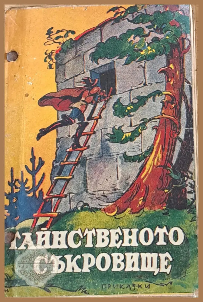 Тайнственото съкровище - Владимир Рангелов - Книги