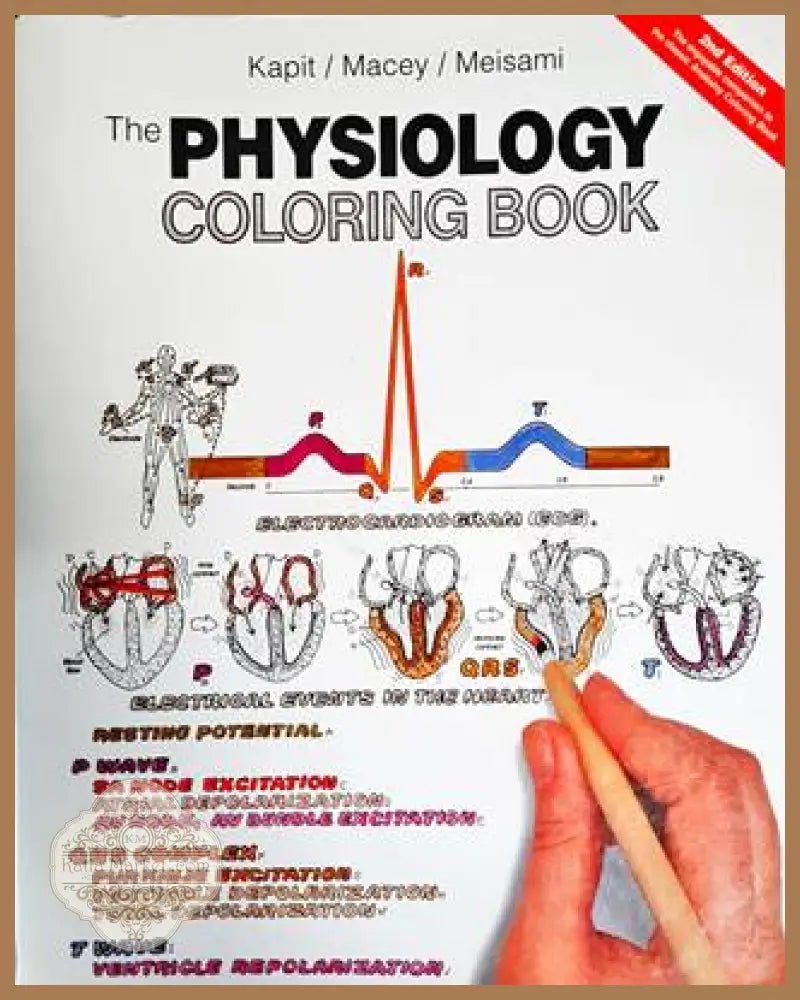The Physiology Coloring Book - Elson Kapit Esmail Meisami Robert I Macey - Книги
