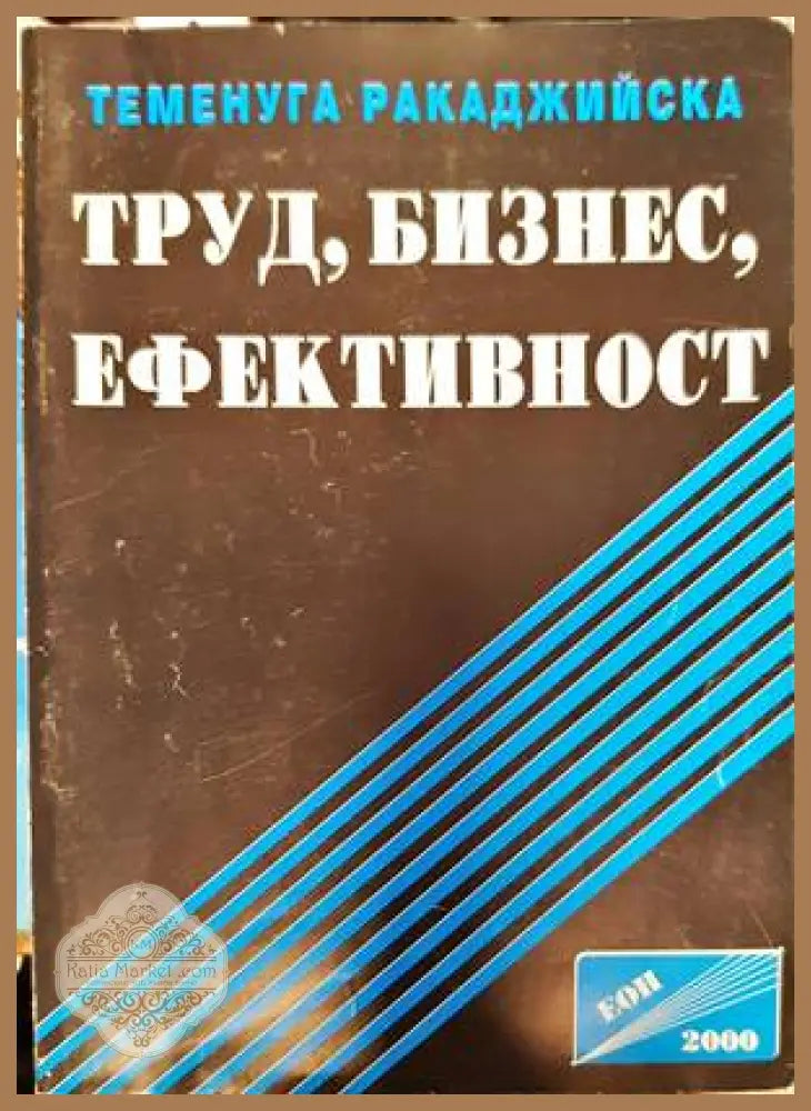 Труд бизнес ефективност - Теменуга Ракаджийска - Книги