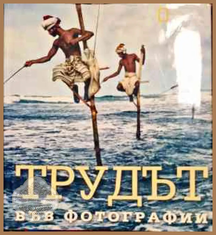Трудът във фотографии - Фердинанд Процман - Книги