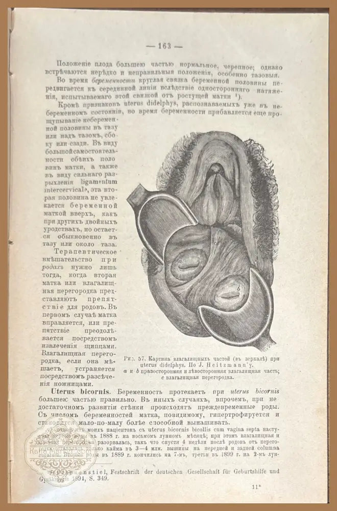 Учебникаъ акушерсва - Dr. Friedrich Schauta - Книги