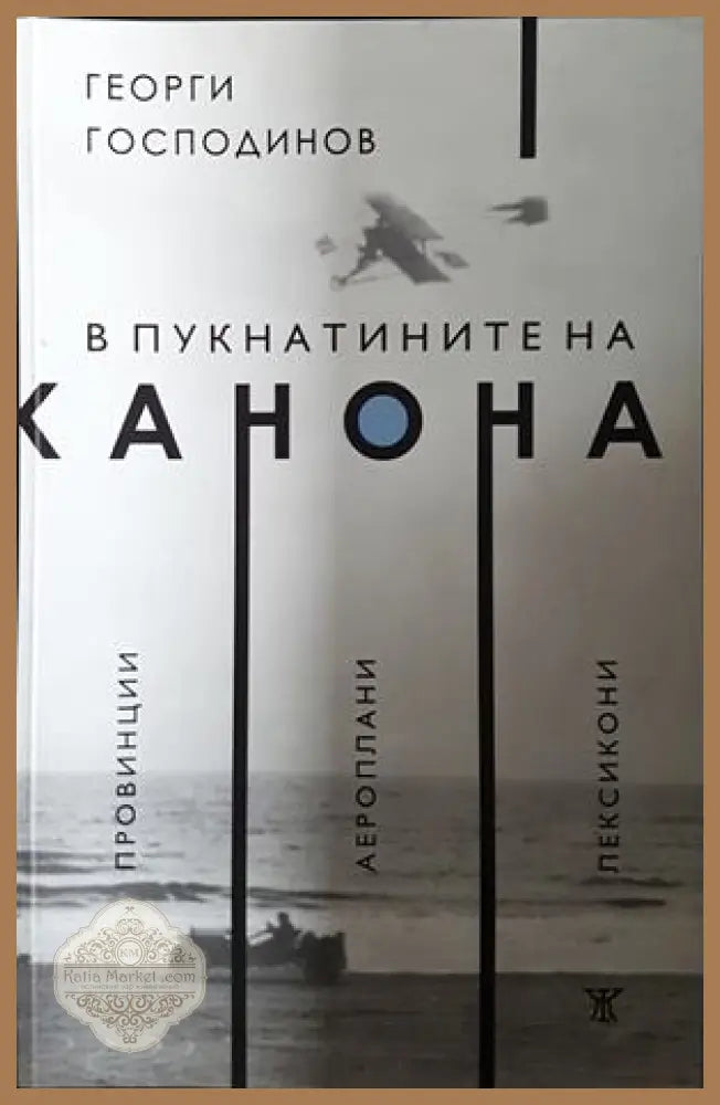 В пукнатините на канона - Георги Господинов