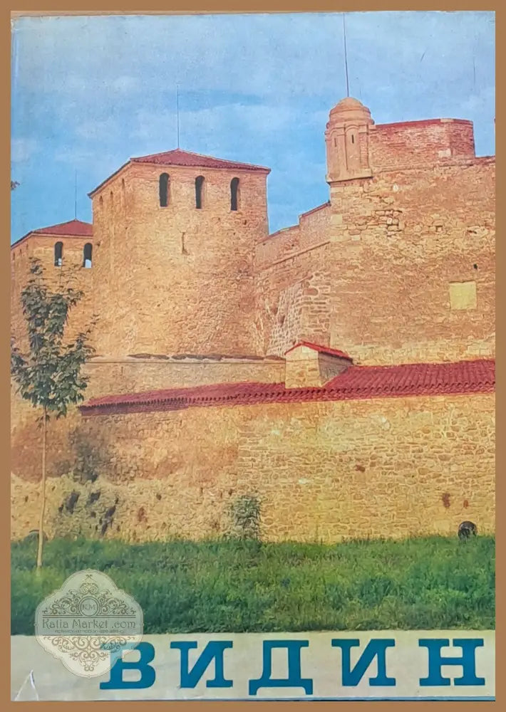Видин - Авторски колектив - Книги
