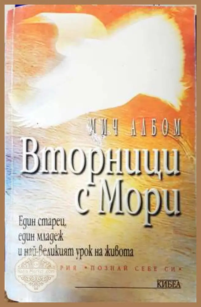 Вторници с Мори. Един старец един младеж и най-великият урок в живота - Мич Албом - Книга