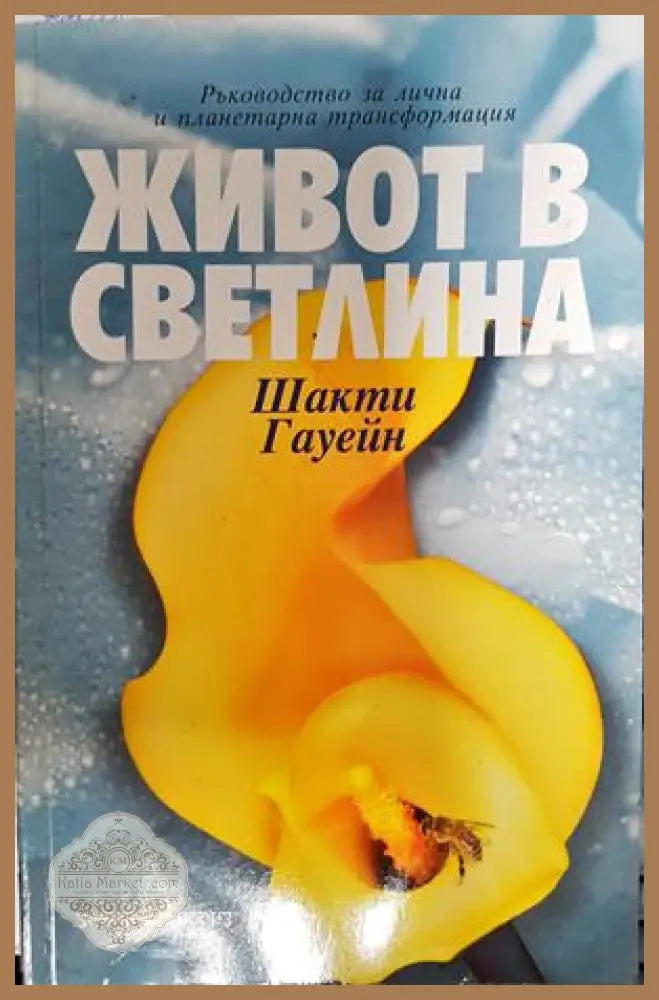Живот в светлина - Шакти Гауейн