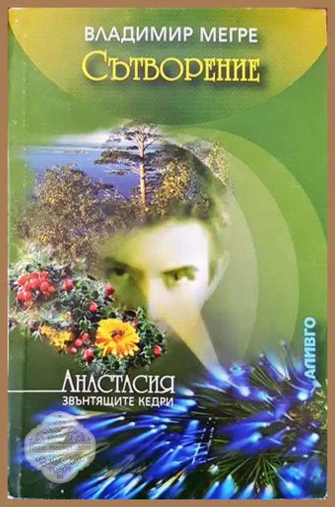 Звънтящите кедри на Русия. Книга 4: Сътворение - Владимир Мегре - Книги