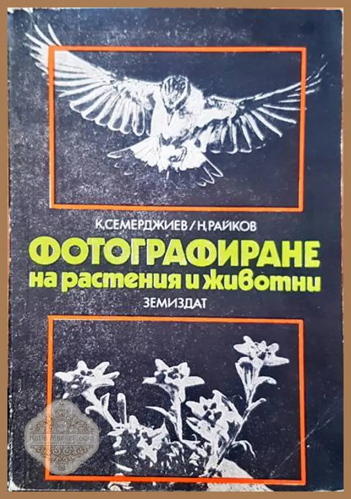 100 най-добри синмки - Книги