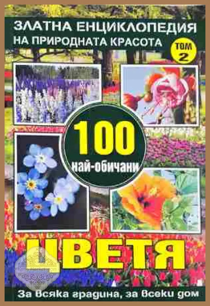 100 най-обичани цветя за всяка градина за всеки дом. Том 2 - Юлиана Димитрова - Книга