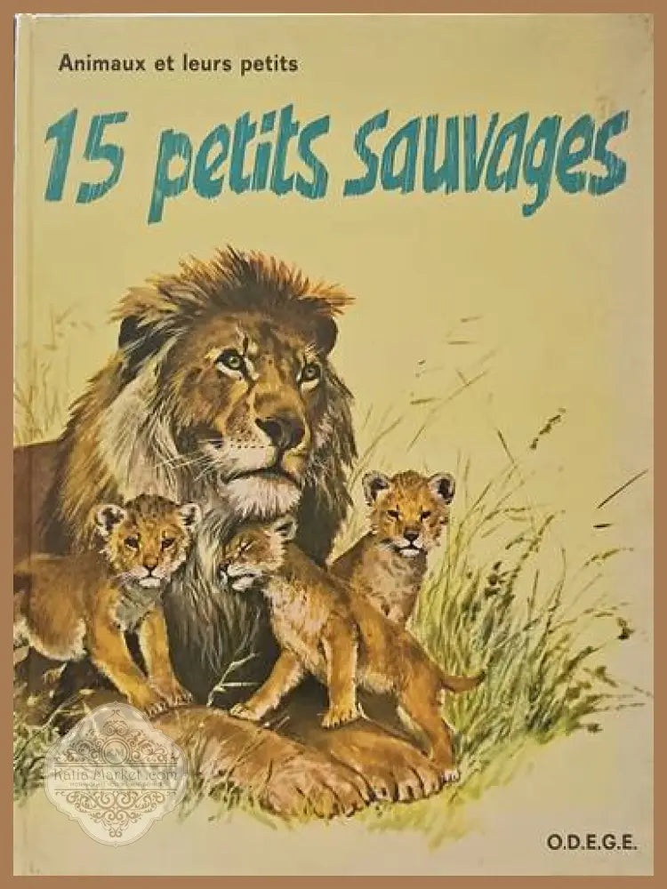 15 petits sauvage - Gilles Saint-Cerere - Книги