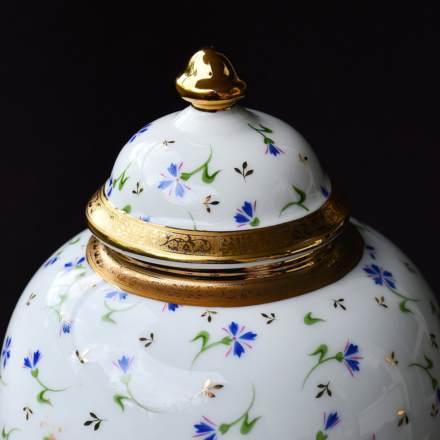 Limoges Barbeau - страничен изглед