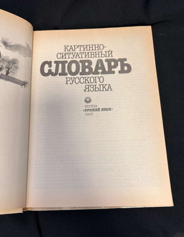 Картинно-ситуативный словарь русского языка - Сборник