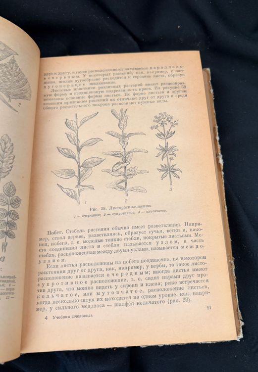 Учебник пчеловода - А. М. Ковалев, А. С. Нуждин, В. И. Полтев, Г. Ф. Таранов, В. А. Темнов