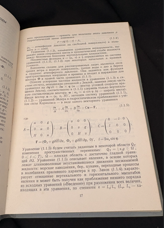 Теория мелкой воды. Океанологические задачи и численные методы - Н. Е. Вольцингер, Р. В. Пясковский
