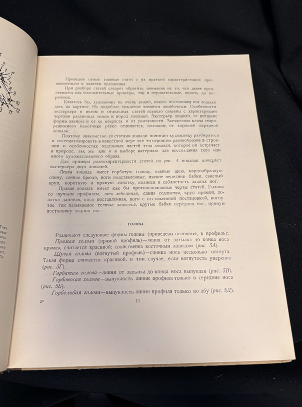 Как рисовать лошадь - вътрешна страница