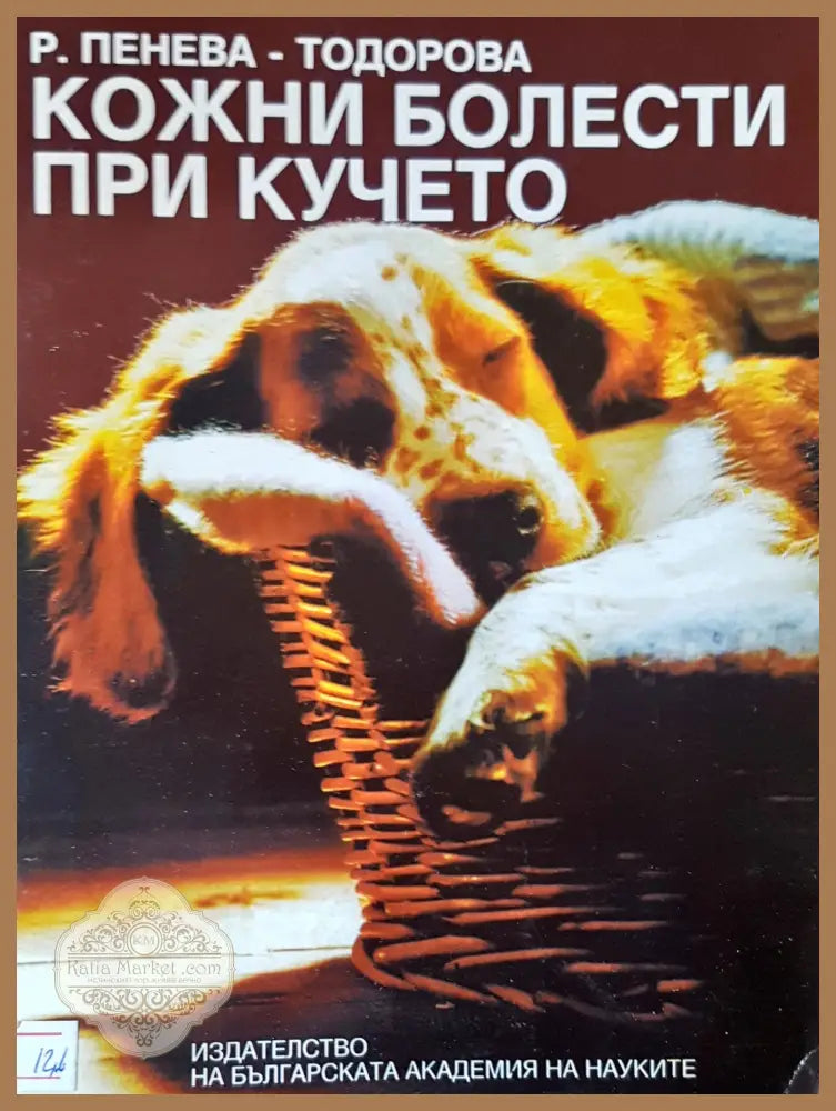 ABSORB - Patrick - Книги