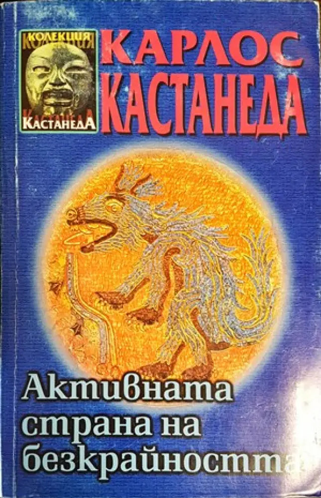 Активната страна на безкрайността (4161) - Книга