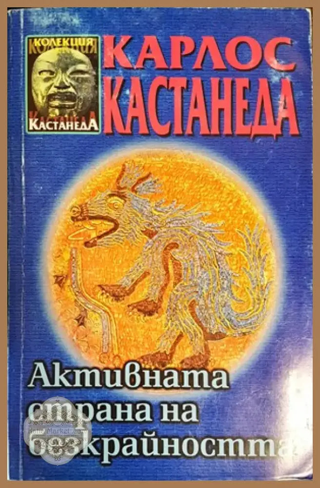 Активната страна на безкрайността (4161) - Книга