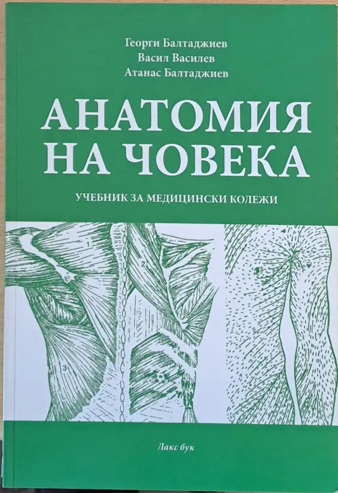 Анатомия на човека (934) - Книга