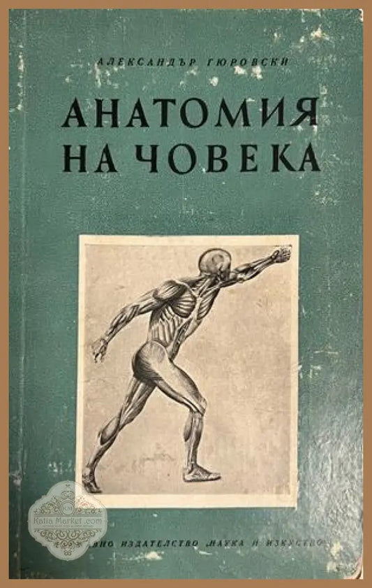 Корица на Анатомия на човека от Александър Гюровски