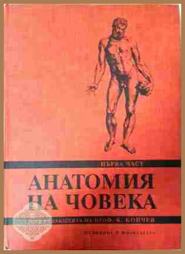 Анатомия на човека - Част 1