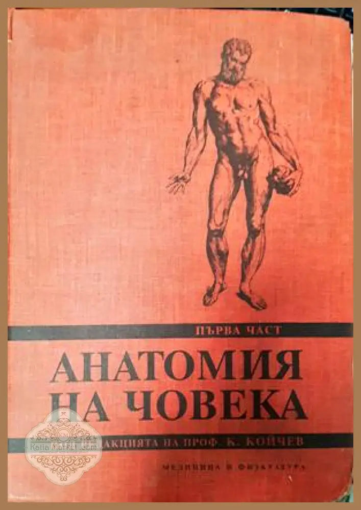 Анатомия на човека. Част 1-2 - Константин Койчев - Книги