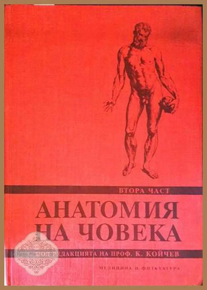 Анатомия на човека. Част 2 - Колектив - Книги
