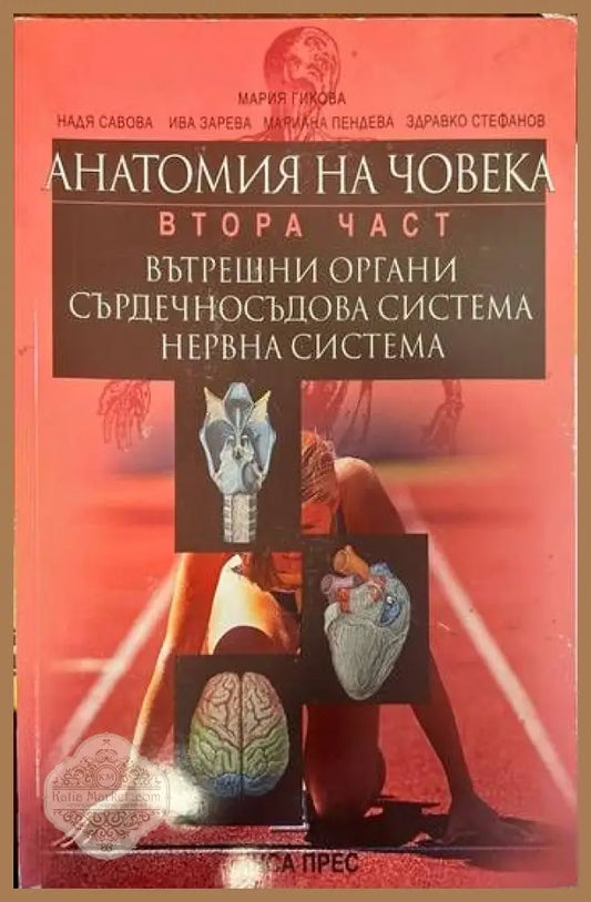 Анатомия на човека. Втора част: Вътрешни органи сърдечносъдова система нервна система - Колектив - Книги