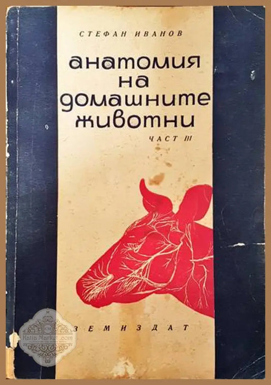 Анатомия на домашните животни. Част 3 - Стефан Иванов - Книги