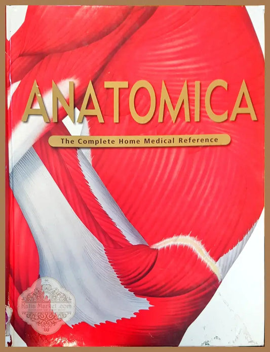 Anatomica - Авторски колектив - Книги