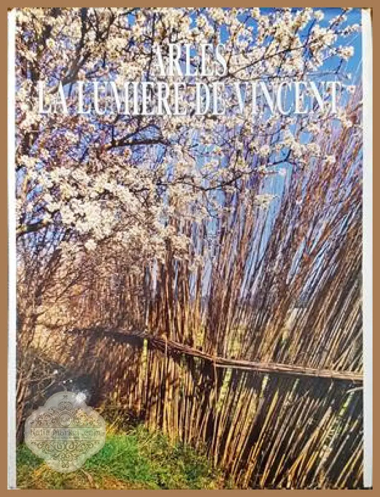 Arles la Lumiere de Vincent - Jean-Luc Siegel Daniel Bounais - Книги