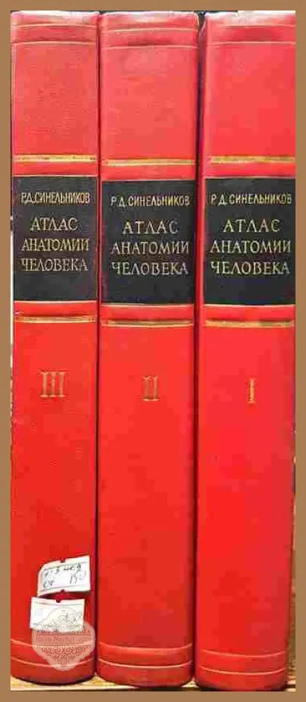 Атлас анатомии человека в трех томах. Том 1-3 - Р. Д. Синельников - Книги
