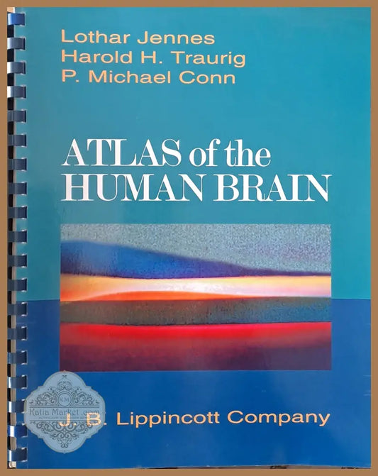 Atlas of the Human Brain - L. Jennes H. H. Traurig P. M. Conn - Книги