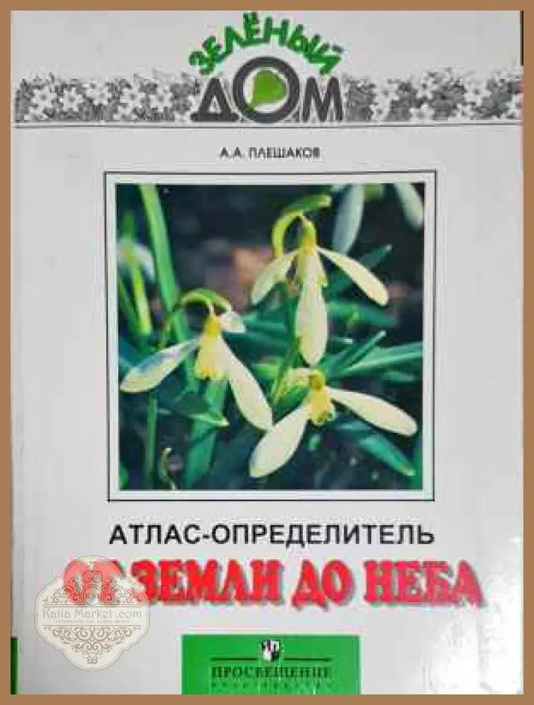 Атлас-определитель. От земли до неба - А. А. Плешаков - Книга