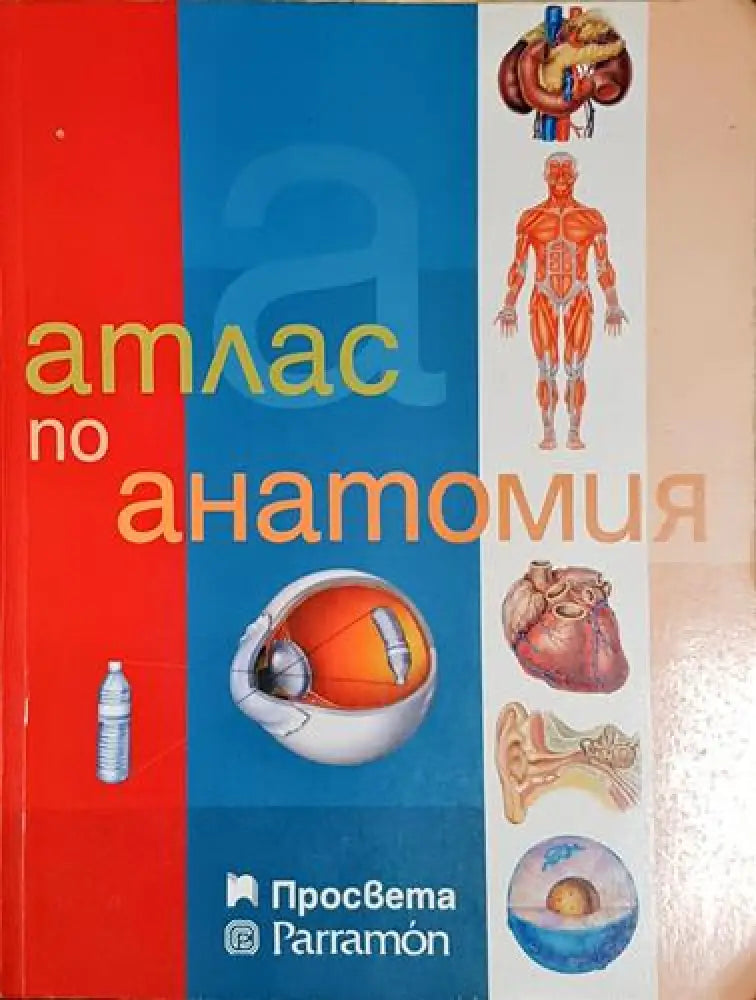 Атлас по анатомия - Адолфо Касан (1753) - Книга