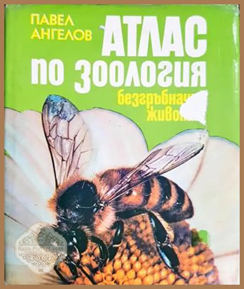 Атлас по зоология: Безгръбначни животни - Павел Ангелов - Книга