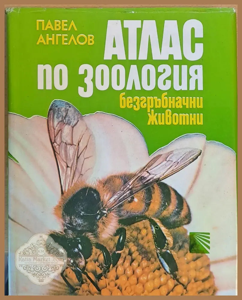 Атлас по зоология - безгръбначни животни - Павел Ангелов - Книги