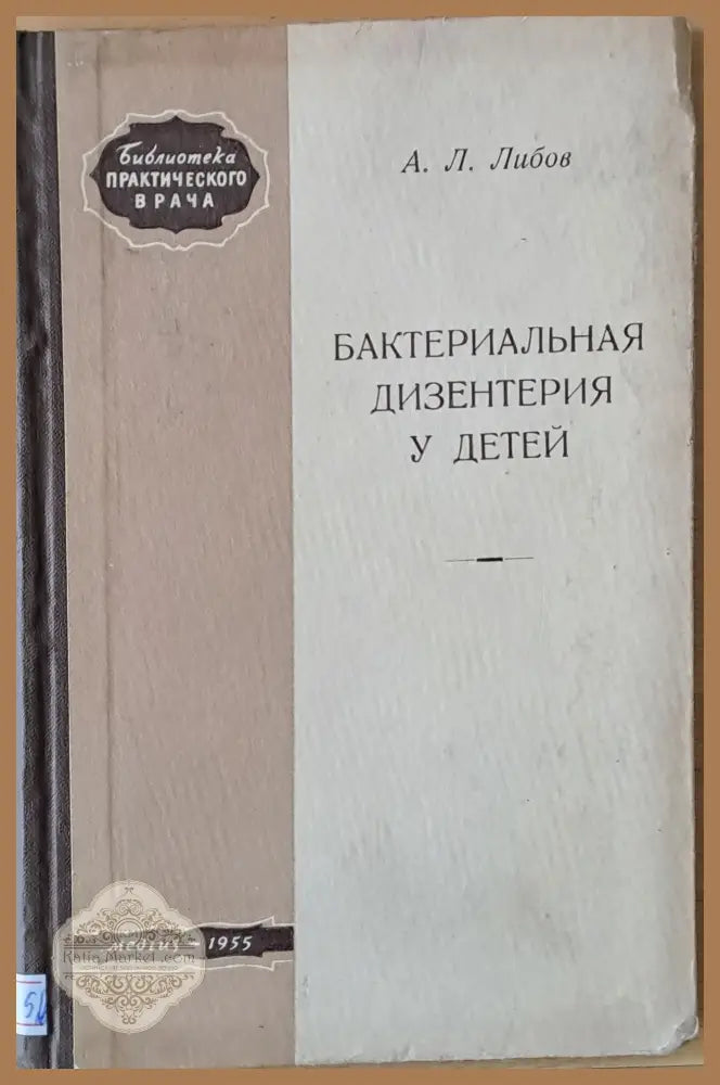 Бактериальная дизентерия у детей - А. Л. Либов - Книги