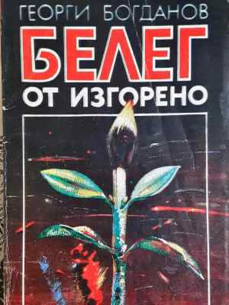Белег от изгорено - Георги Богданов (2033) - Книга