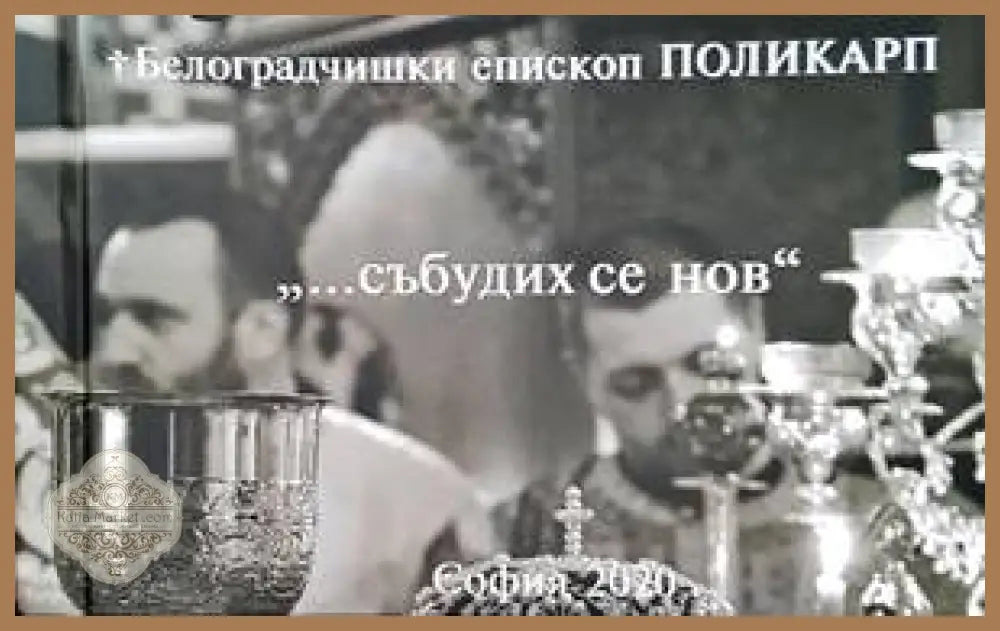 Белоградчишки епископ Поликарп - Книги