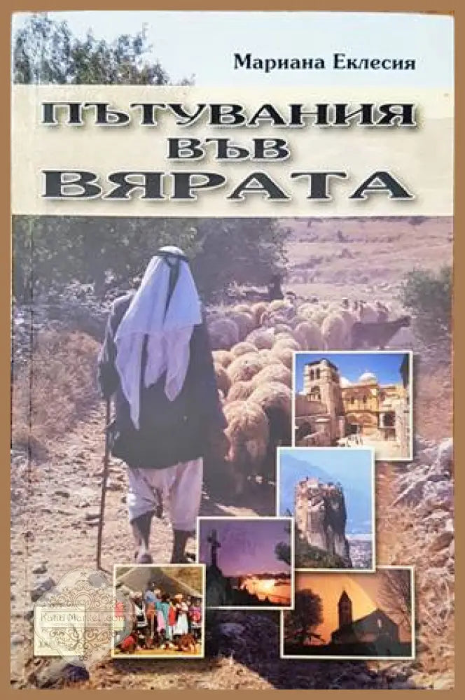 Белоградчишки епископ Поликарп - Книги