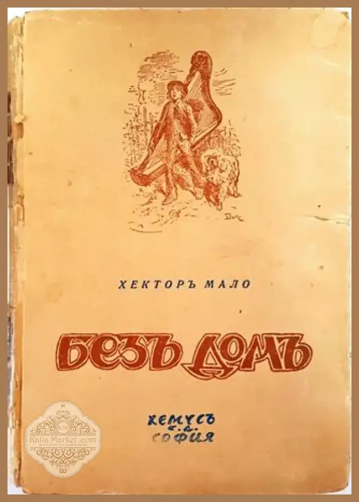Безъ домъ (1042) - Книга