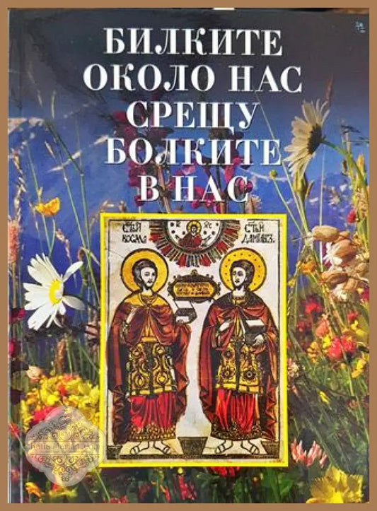 Билките около нас срещу болките в нас - Колектив - Книга